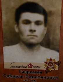 Гикрамин Сабирян Салихянович