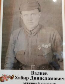 Валиев Хабир Динисламович