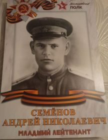 Семенов Андрей Николаевич