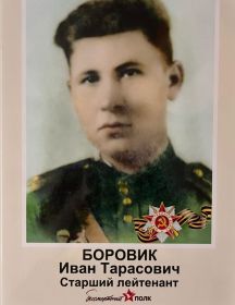 Боровик Иван Тарасович