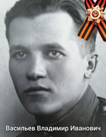 Васильев Владимир Иванович