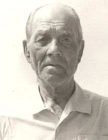 Сноегин Николай Михайлович