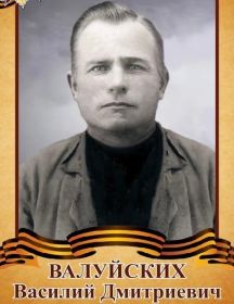 Валуйских Василий Дмитриевич