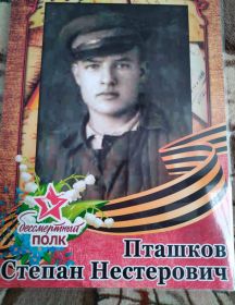 Пташков Степан Нестерович