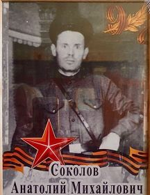 Соколов Анатолий Михайлович