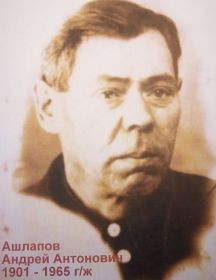 Ашлапов Андрей Антонович