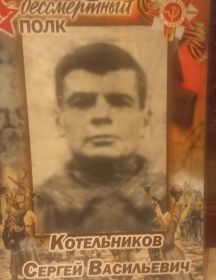 Котельников Сергей Васильевич