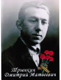 Трынкин Дмитрий Матвеевич