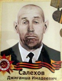 Салехов Джиганша Имадеевич