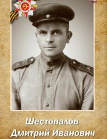 Шестопалов Дмитрий Иванович