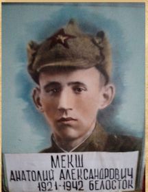 Мекш Анатолий Александрович