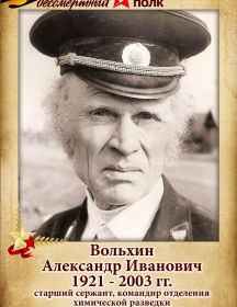 Вольхин Александр Иванович