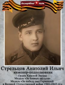 Стрельцов Анатолий Ильич