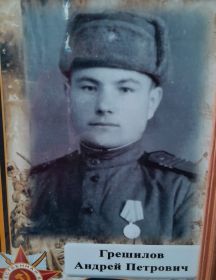 Грешилов Андрей Петрович