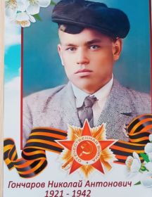 Гончаров Николай Антонович