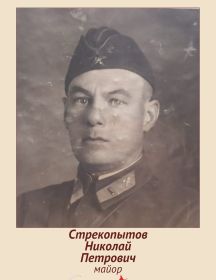 Стрекопытов Николай Петрович