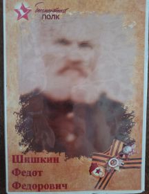 Шишкин Федот Фёдорович
