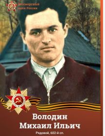 Володин Михаил Ильич