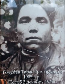 Голубев Тарас Григорьевич