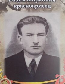 Лимонников Разум Маркович