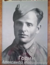 Годин Александр Иосифович