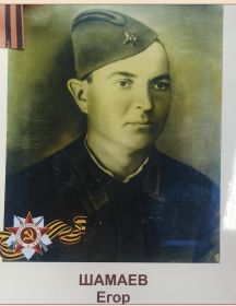 Шамаев Егор 