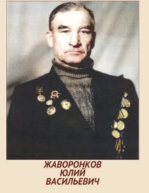 Жаворонков Юлий Васильевич