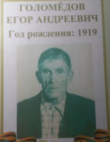 Голомедов Егор Андреевич
