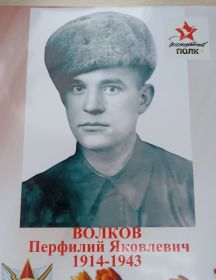 Волков Перфилий Яковлевич
