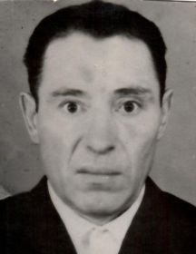 Никулин Николай Данилович