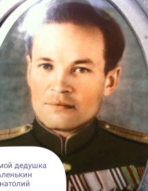 Аленькин Анатолий Дмитриевич