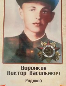 Воронков Виктор Васильевич