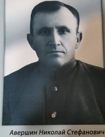 Авершин Николай Стефанович