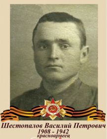 Шестопалов Василий Петрович