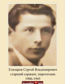 Елизаров Сергей Владимирович