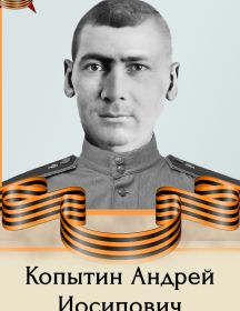 Копытин Андрей Иосипович