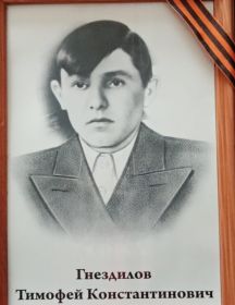 Гнездилов Тимофей Константинович