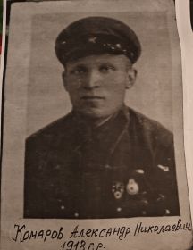 Комаров Александр Николаевич