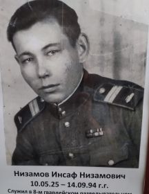 Низамов Инсаф Низамович