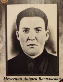 Меженин Андрей Васильевич