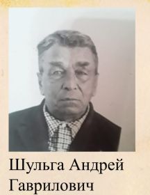Шульга Андрей Гаврилович