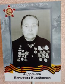 Андронова Елизавета Михайловна