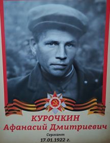 Курочкин Афанасий Дмитриевич