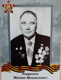 Андронов Михаил Михайлович