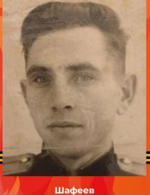 Шафиев Султан Загреевич