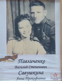 Павличенко Василий Степанович