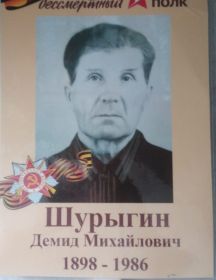 Шурыгин Демид Михайлович