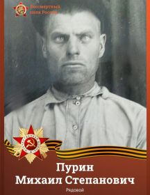 Пурин Михаил Степанович