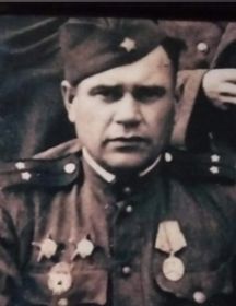 Дубровин Николай Николаевич