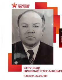 Стручков Николай Степанович